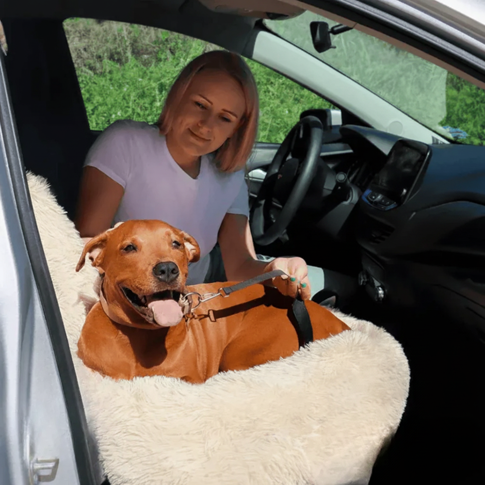 Car Dog Bed + Free Seat Belt