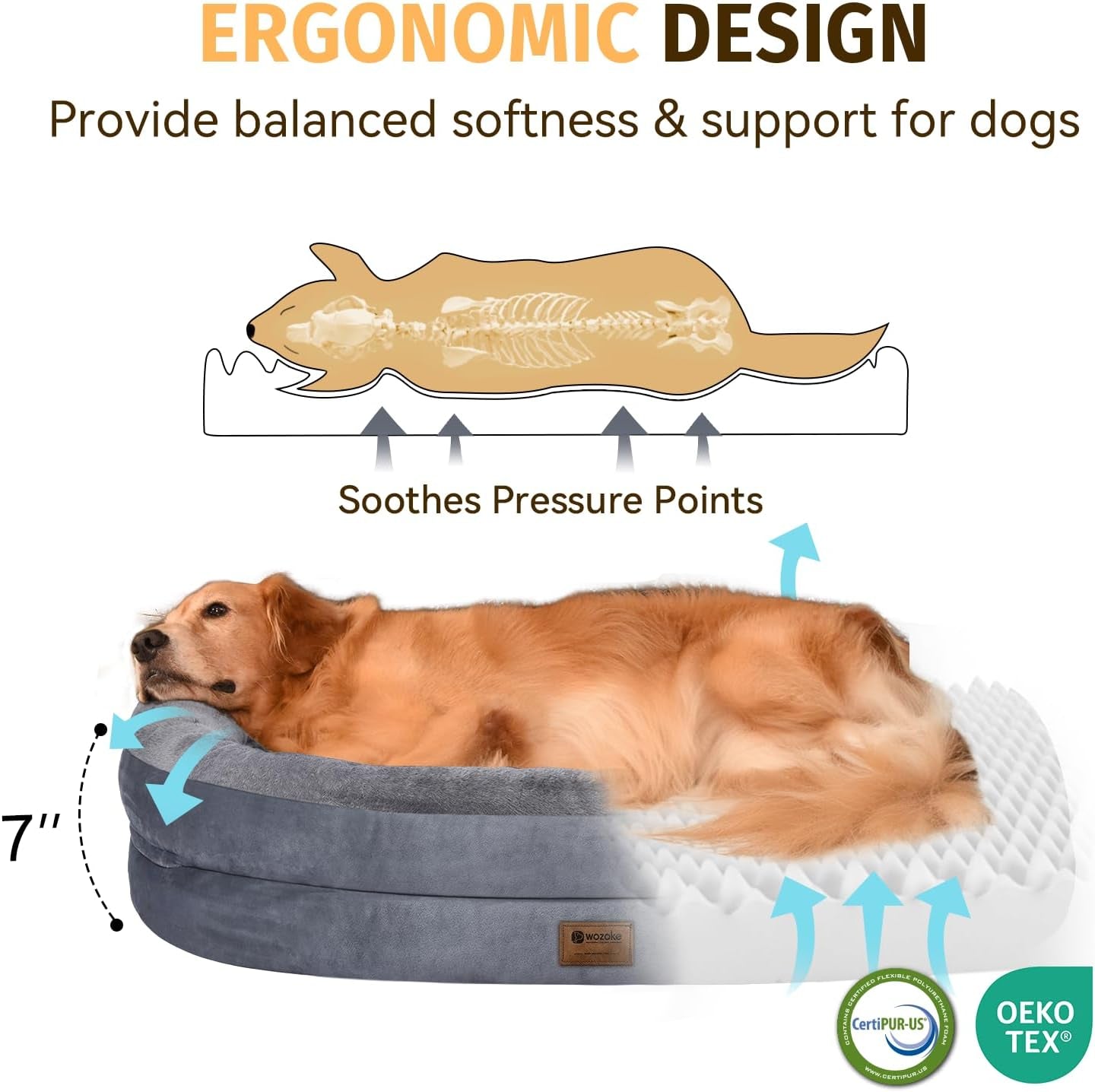 Orthopedic Memory Foam Dog Bed – Waterproof, Washable with Bolsters for Large Dogs - Paw Fit Gears