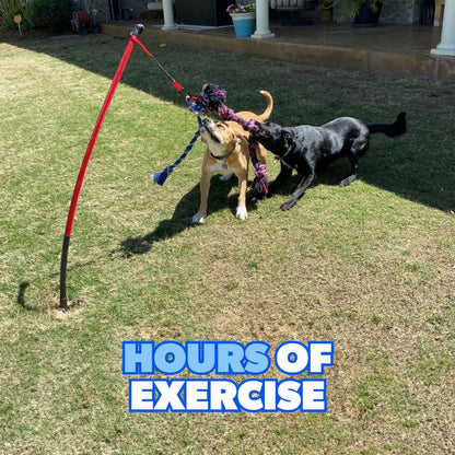 Durable Dog Tug Toy Kit for All Sizes – Solo Play & Heavy Duty Options - Paw Fit Gears