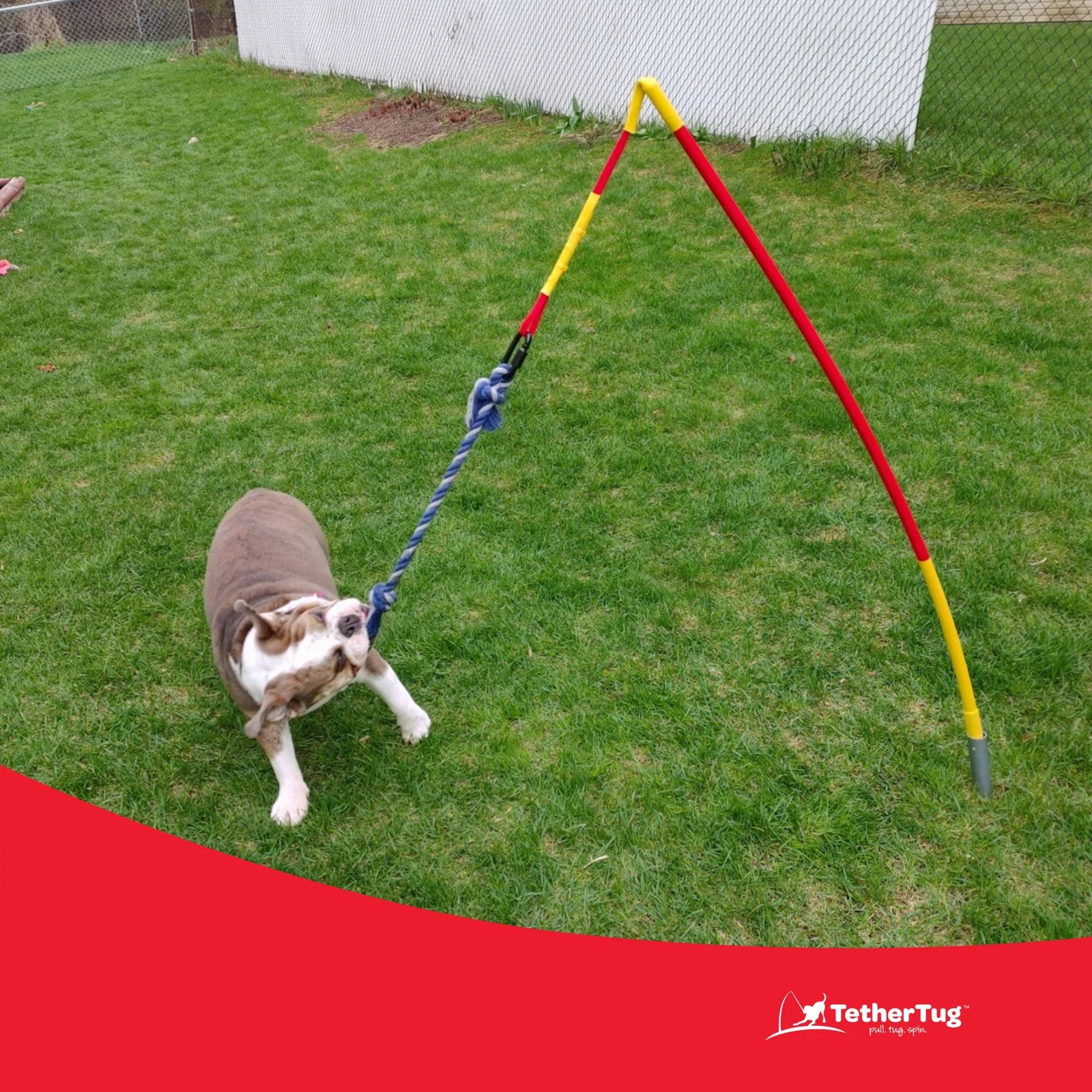 Durable Dog Tug Toy Kit for All Sizes – Solo Play & Heavy Duty Options - Paw Fit Gears