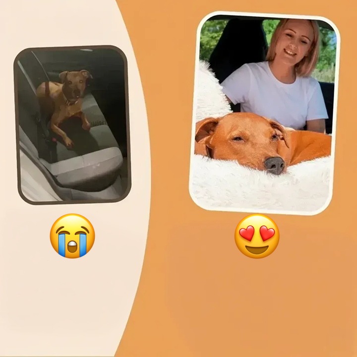 Car Dog Bed + Free Seat Belt