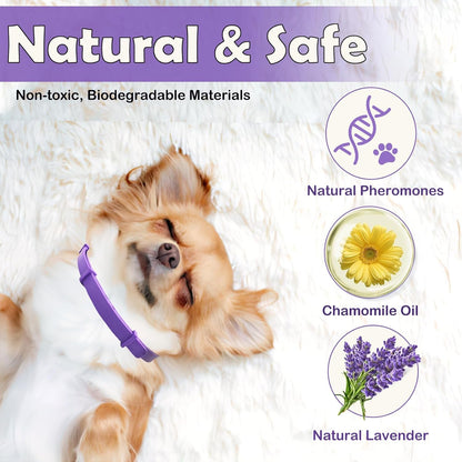 Natural Pheromone Calming Collar - Paw Fit Gears
