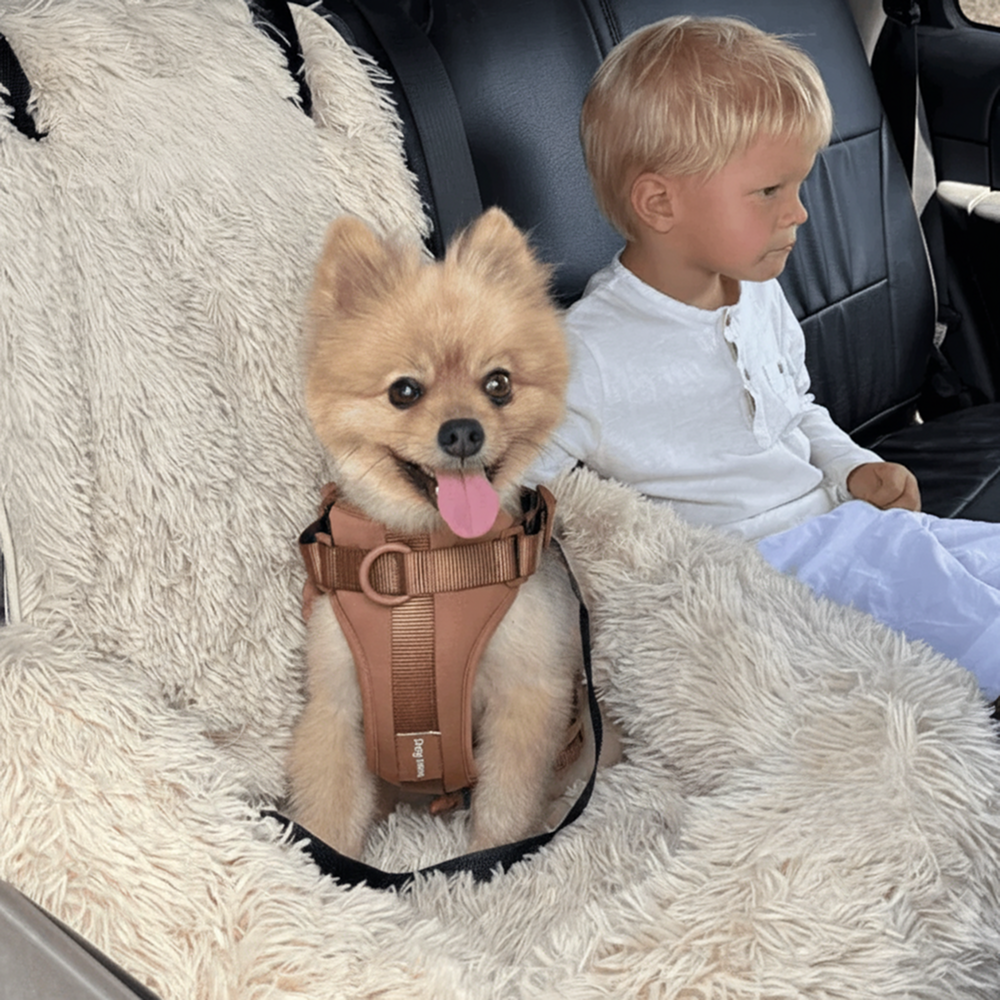 Car Dog Bed + Free Seat Belt