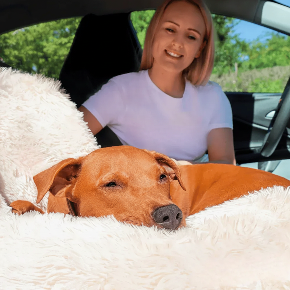 Car Dog Bed + Free Seat Belt